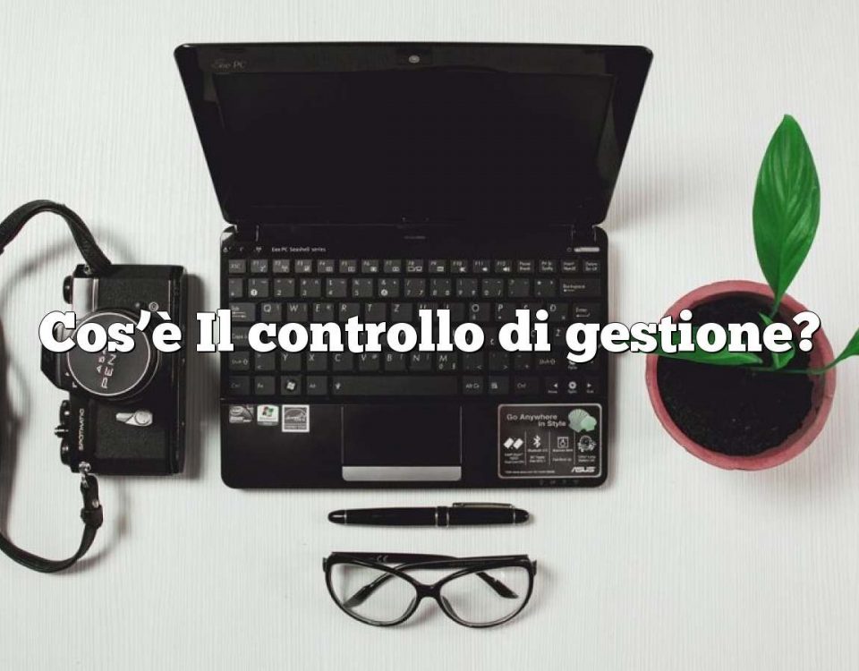 Cos’è Il controllo di gestione?