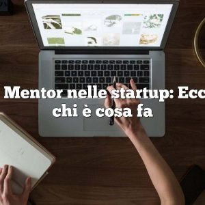 il Mentor nelle startup: Ecco chi è cosa fa