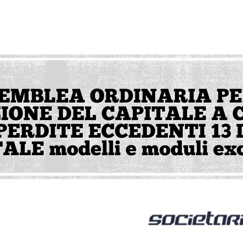 ASSEMBLEA ORDINARIA PER LA RIDUZIONE DEL CAPITALE A CAUSA DI PERDITE ECCEDENTI 13 DEL CAPITALE modelli e moduli excel doc