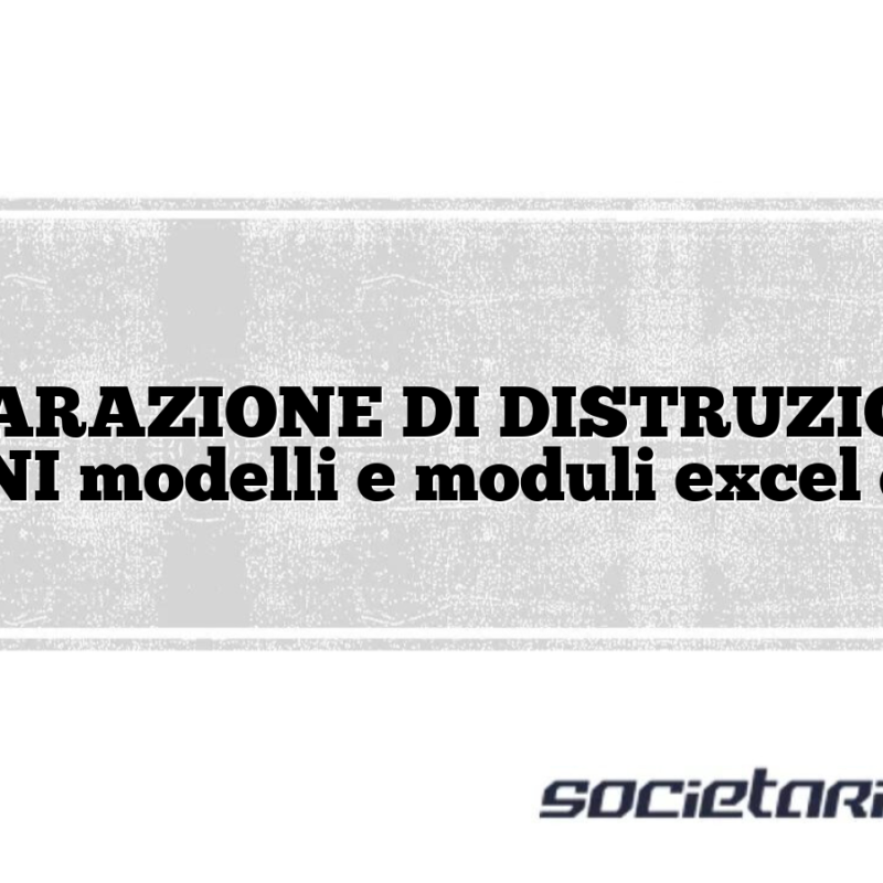 DICHIARAZIONE DI DISTRUZIONE DI BENI modelli e moduli excel doc