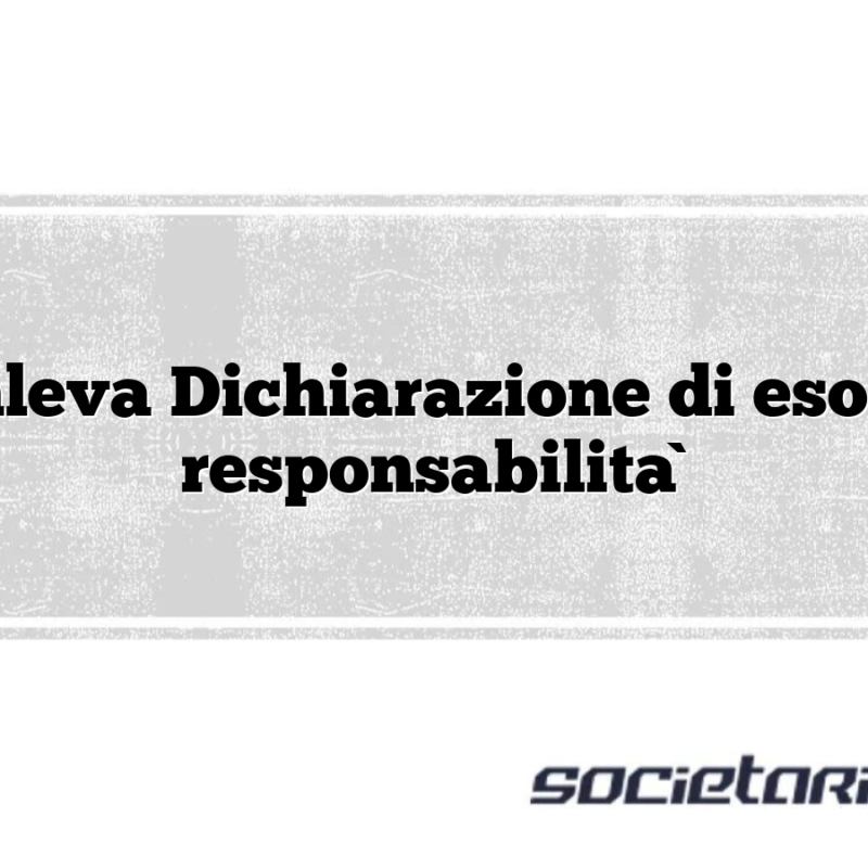 Manleva Dichiarazione di esonero responsabilità